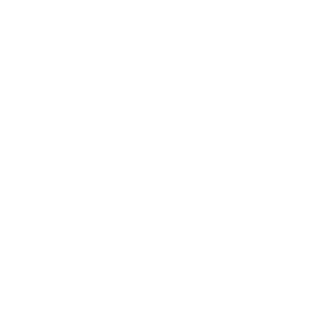 Auto für Export Solothurn